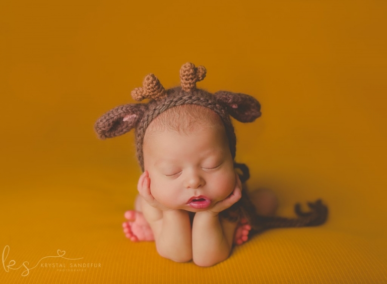 cleburne newborn photographer