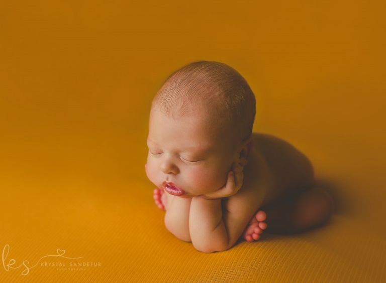 cleburne newborn photographer 02