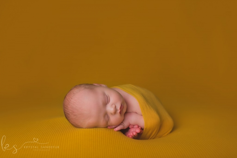 cleburne newborn photographer 03