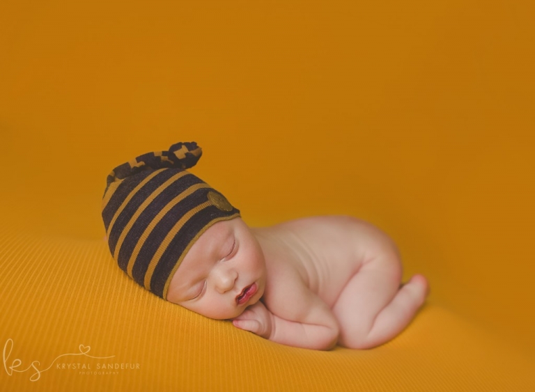 cleburne newborn photographer 04