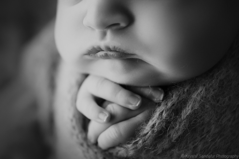 newborn photography near me