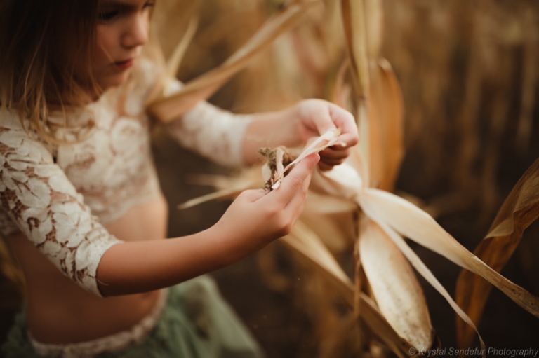 fort worth child photographer