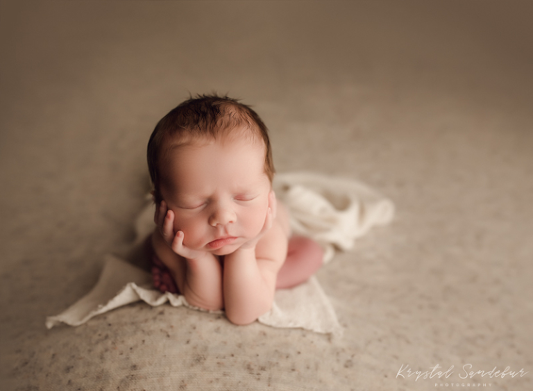 fort worth photographer studios