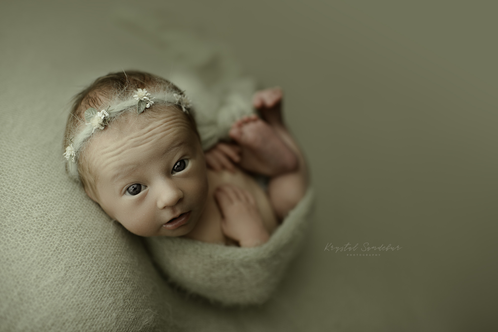 professional newborn photography