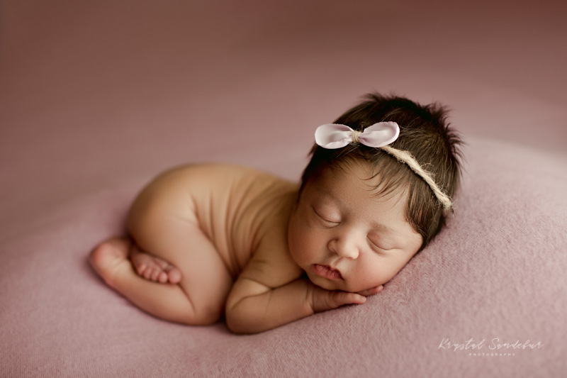 newborn photography arlington tx