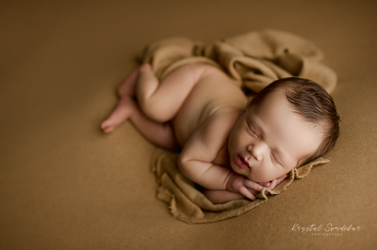 lifestyle newborn photography fort worth