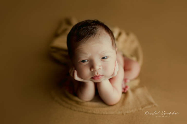 lifestyle newborn photography fort worth