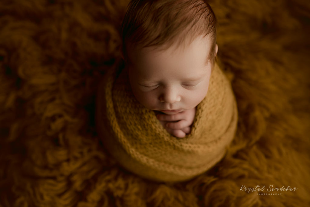 posed newborn photography fort worth tx
